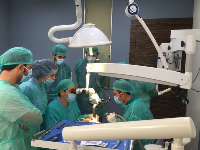 Curso de Cirugía plástica periodontal y su aplicación en Implantología 8