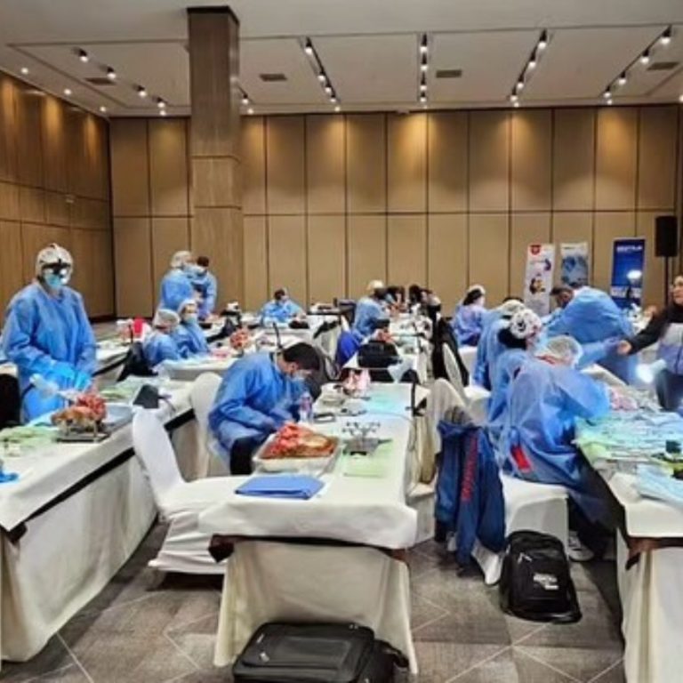 curso cuenca ortoperio murcia