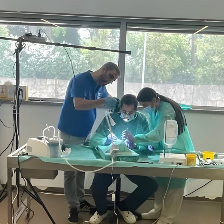 curso oporto ortoperio murcia