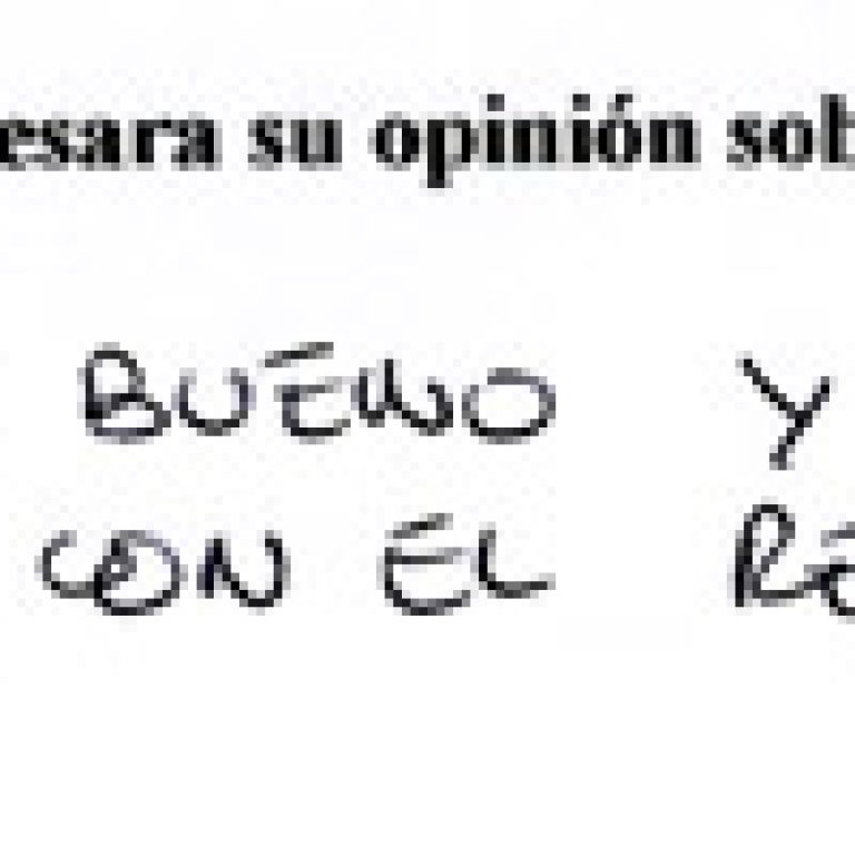 el trato ha sido bueno